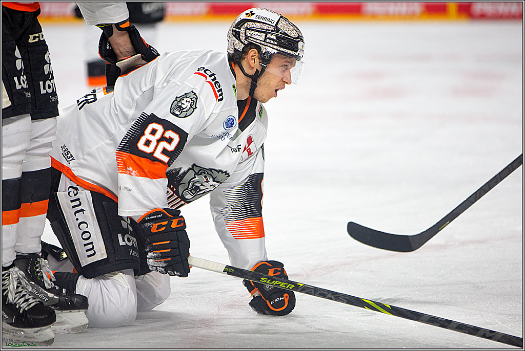PENNY DEL; Koelner Haie- Loewen Frankfurt; Koeln, 01.12.2022
